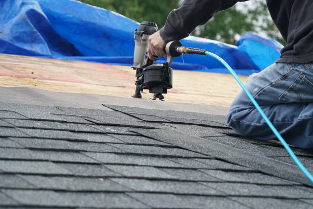 Best Roof Gutter Cleaning  in Standish, MI